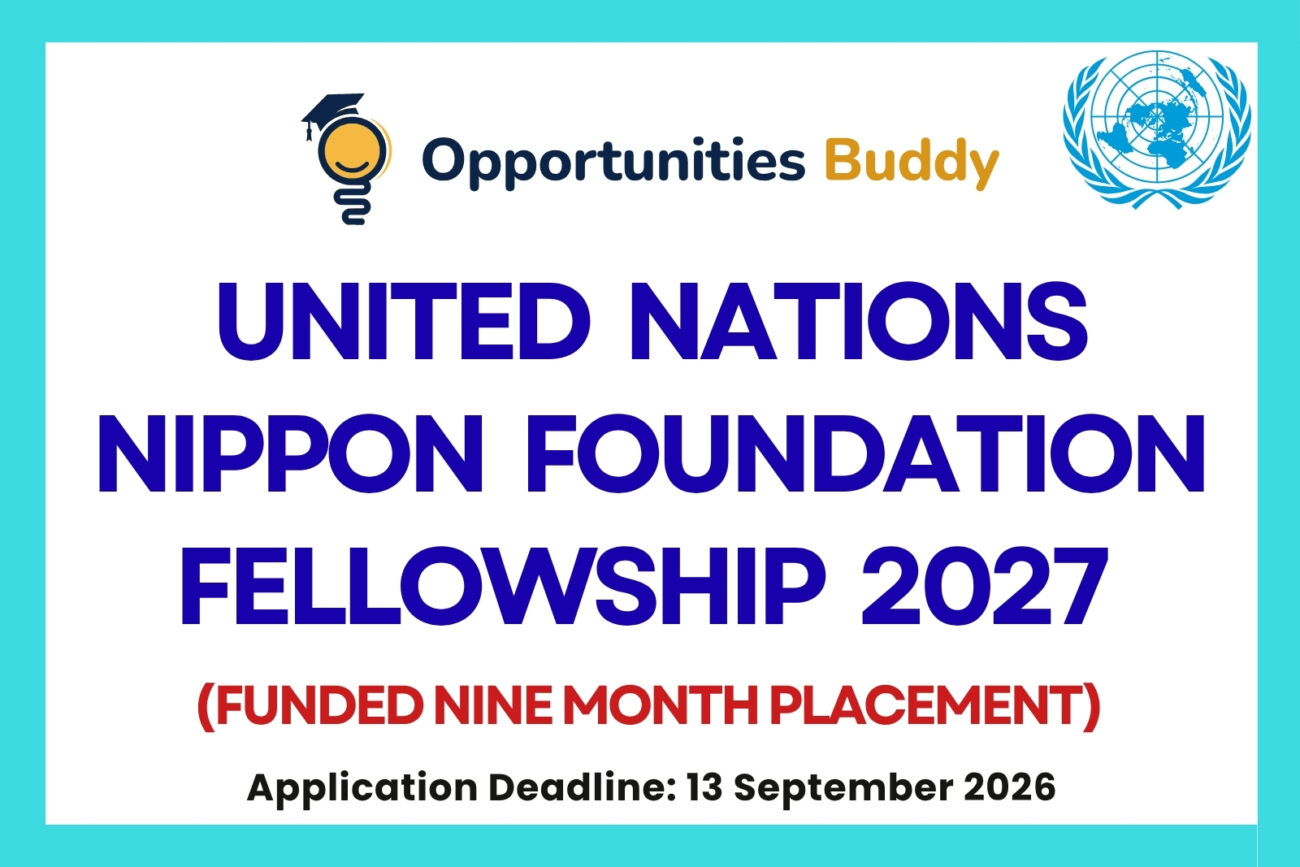 United Nations Nippon Foundation Fellowship 2027